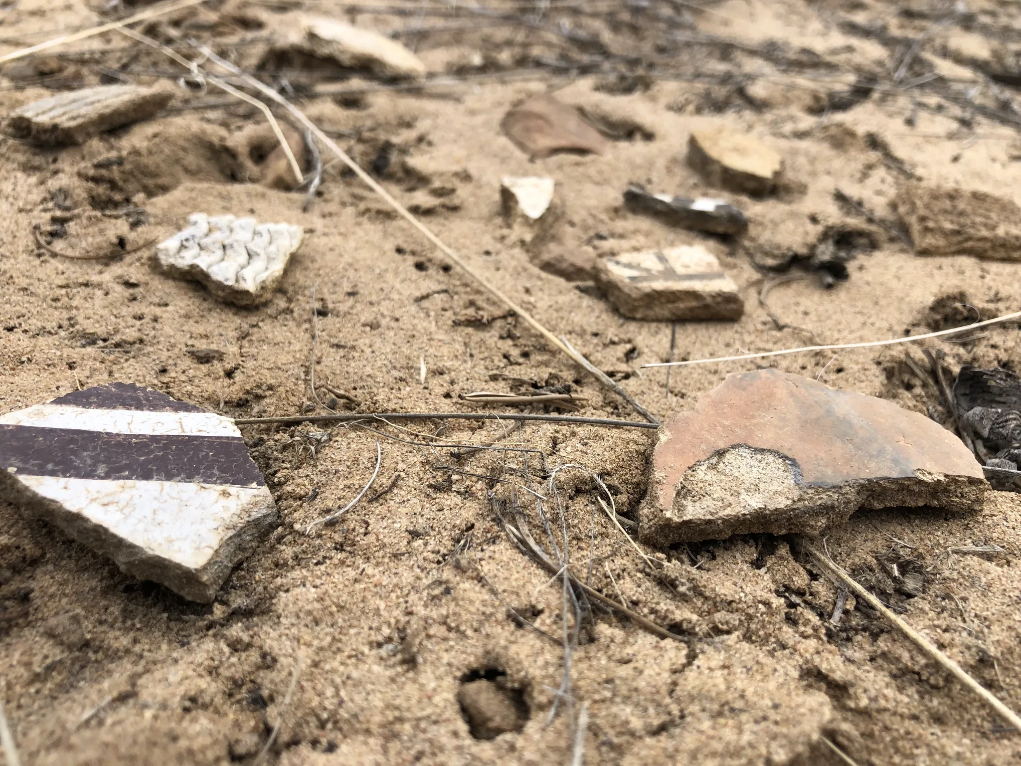 Surface potsherd assemblage Dittert Site