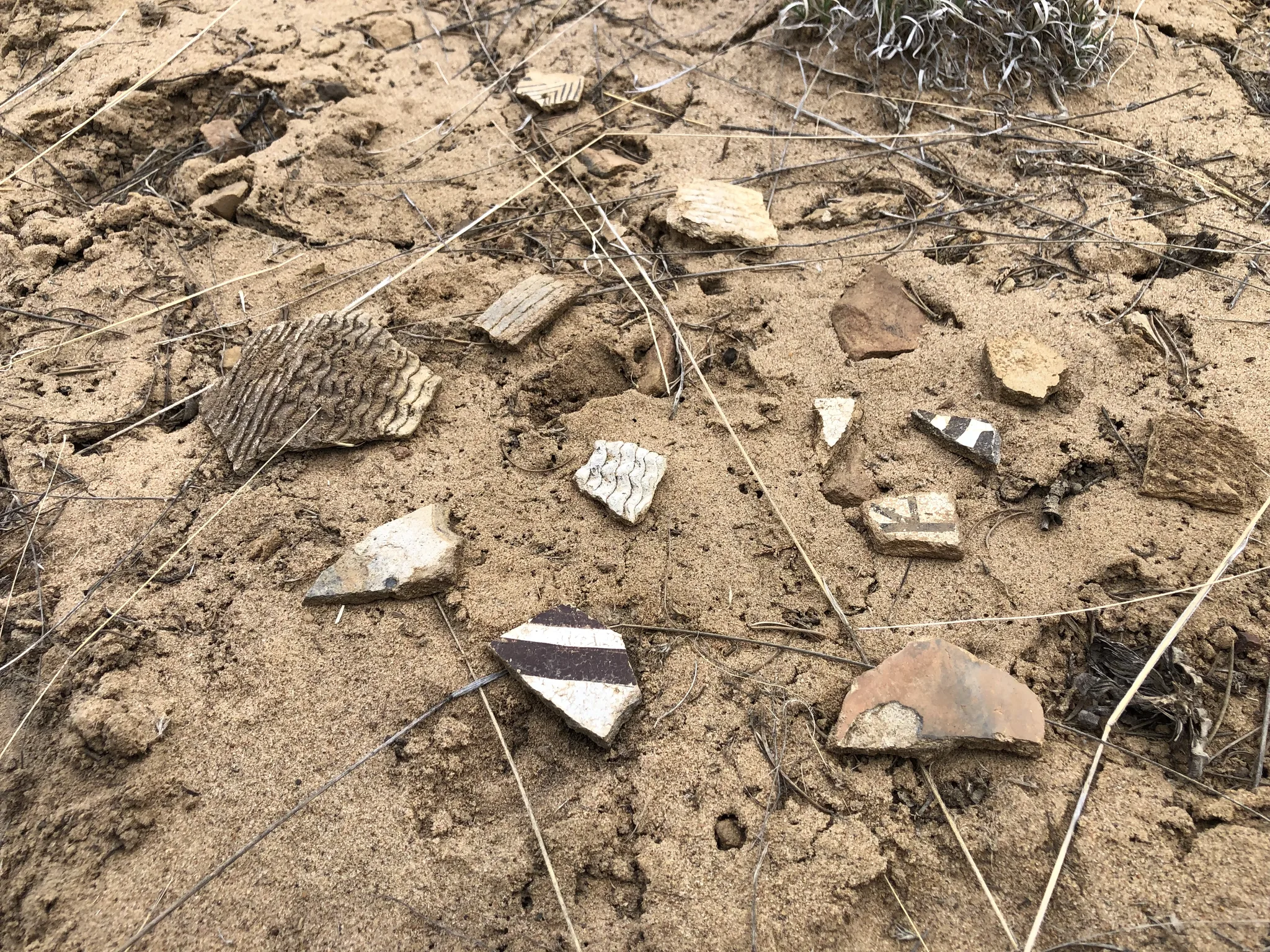 Scattering of surface potsherds at the Dittert Site