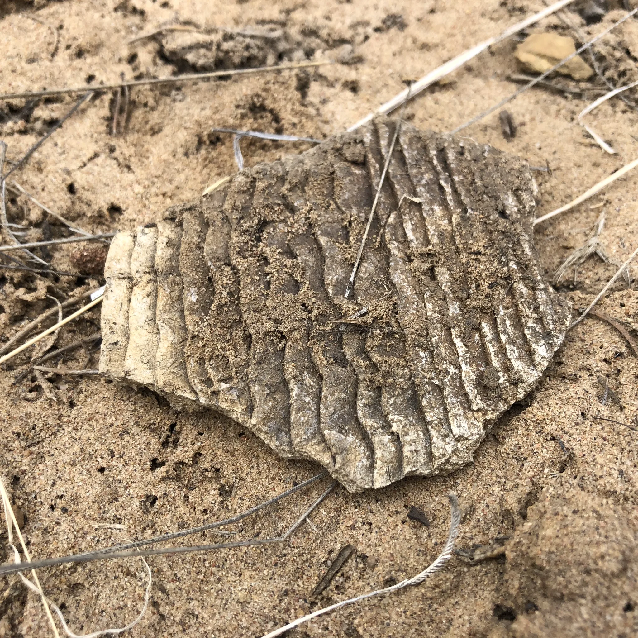 Corrugated utility ware potsherd, consistent with late Pueblo II–III ceramic traditions.