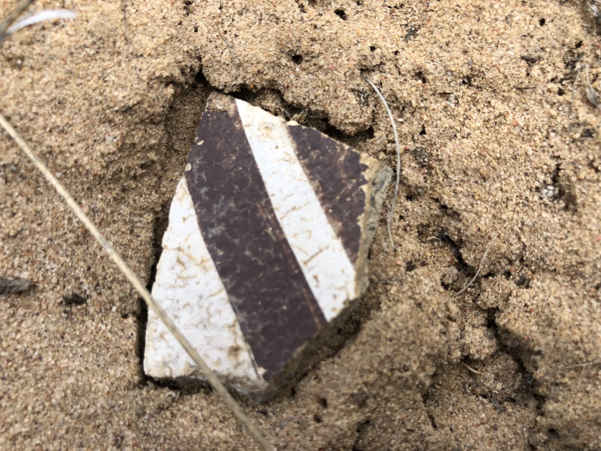 Painted black-on-white potsherd with banded decoration, consistent with late Pueblo II–III ceramic traditions