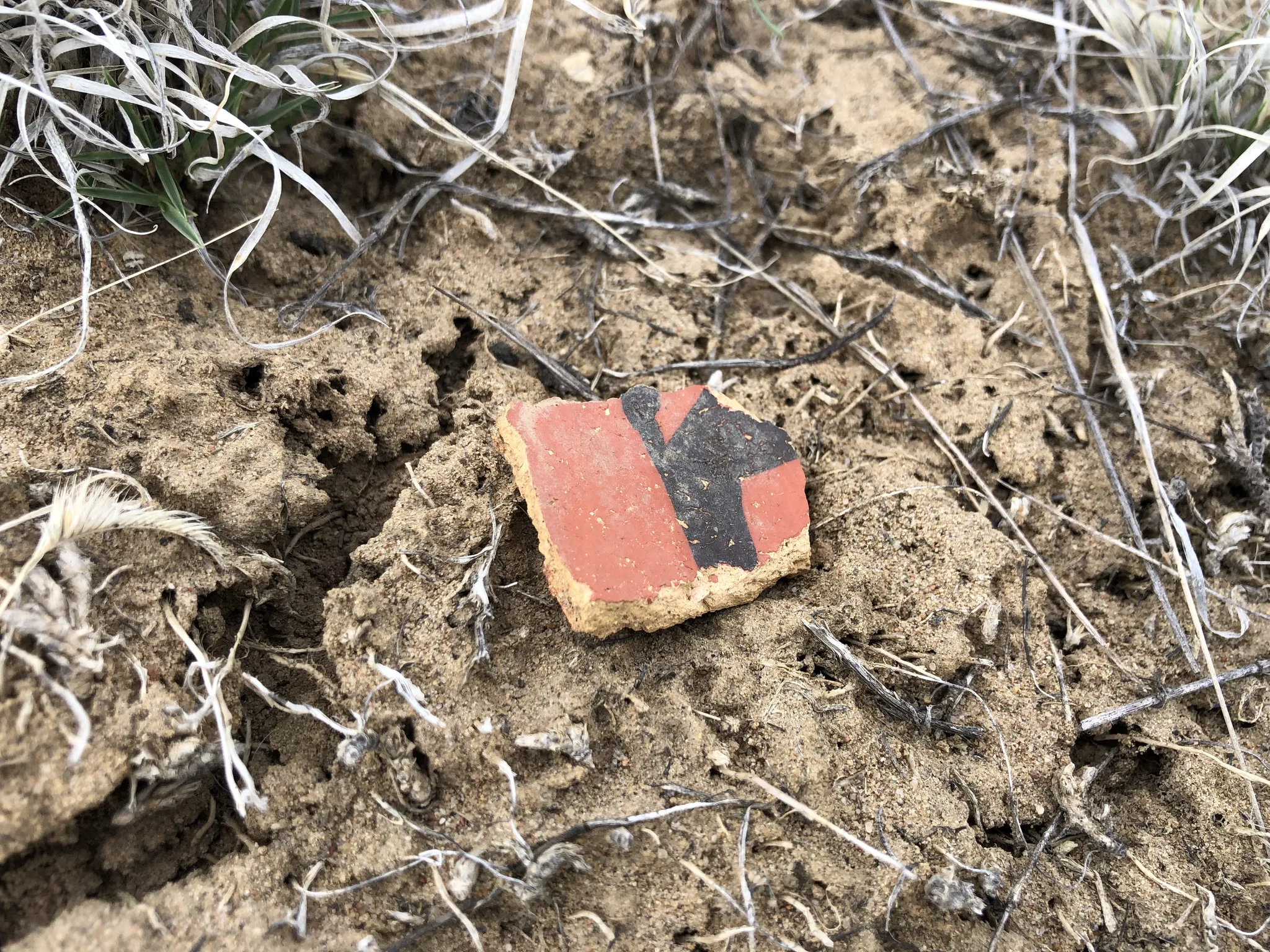 Red-slipped ceramic sherd with black painted design, consistent with Pueblo III painted ware traditions.